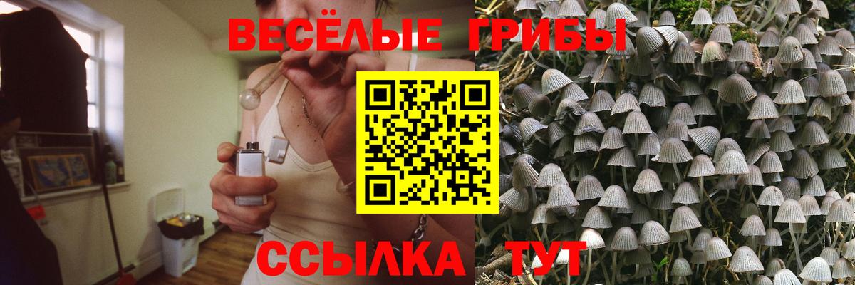 Псилоцибиновые грибы прущие грибы Кохма
