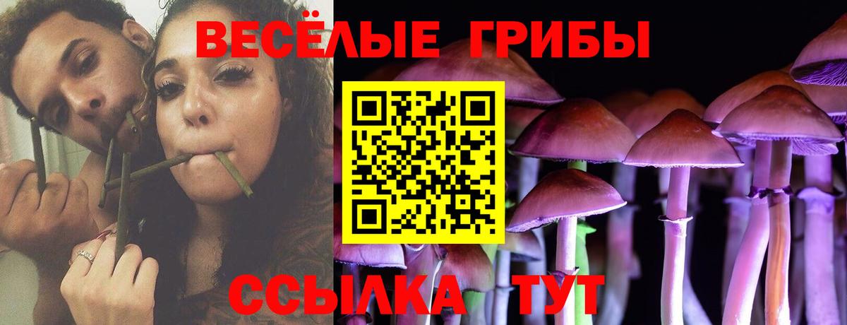Кохма  Псилоцибиновые грибы мицелий  Галлюциногенные грибы Magic Shrooms  Вход с VPN 